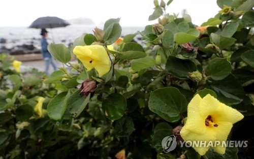 제주도 전역 강풍주의보 발효…모레까지 강한 바람