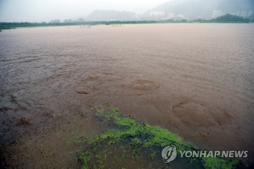 강풍·폭우에 강원 곳곳 '물난리'…나무가 캠핑장 덮쳐 3명 다쳐(종합)