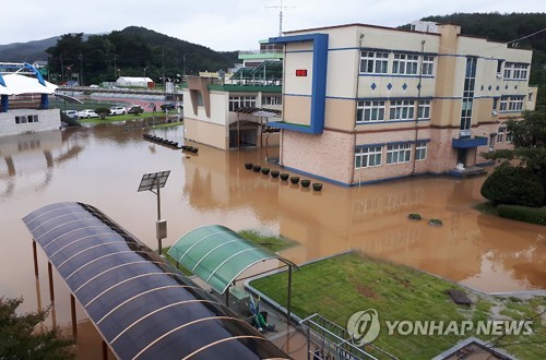 300㎜ 폭우에 강원 곳곳 '물난리'…나무가 캠핑장 덮쳐 3명 다쳐(종합)