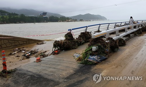 300㎜ 폭우에 강원 곳곳 '물난리'…나무가 캠핑장 덮쳐 3명 다쳐(종합)