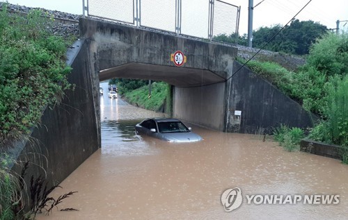 잠기고 쓰러지고…충북 최고 123mm 폭우 피해 속출(종합)