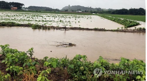 농경지 침수·토사 유출…전북 최고 190㎜ 장맛비로 곳곳 피해(종합)