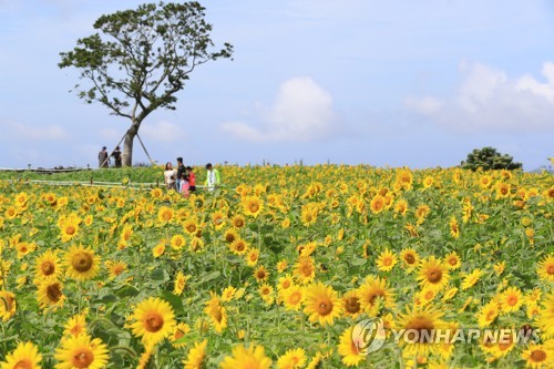 한반도 중부는 폭우로 '긴 한숨', 남부는 기습 폭염에 '헉헉'