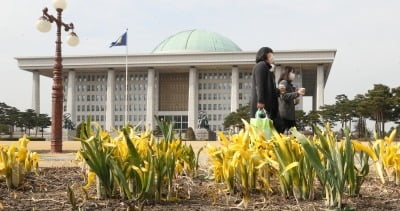 21대 국회, 한 달 반만에 개원식…문 대통령 연설