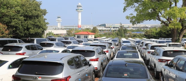 제주공항 인근 한 렌터카 업체 주차장에 배차되지 않은 차들이 가득하다. 사진=연합뉴스