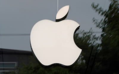 닛케이 "삼성 OLED아성에…애플, 신형 아이폰 물량 LGD에 발주"