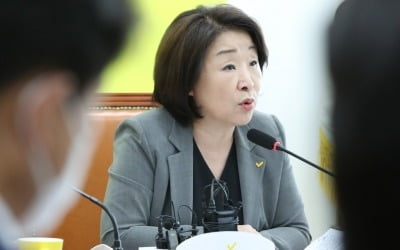 심상정 "文대통령 지시보다 노영민의 '똘똘한 한 채'만 보여"