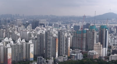 서울 아파트 사들이는 30대…'패닉 바잉' 지속