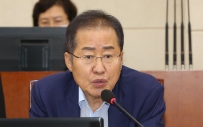 홍준표 "잘못해도 당당한 여당이 '주류'…야당은 부실해"