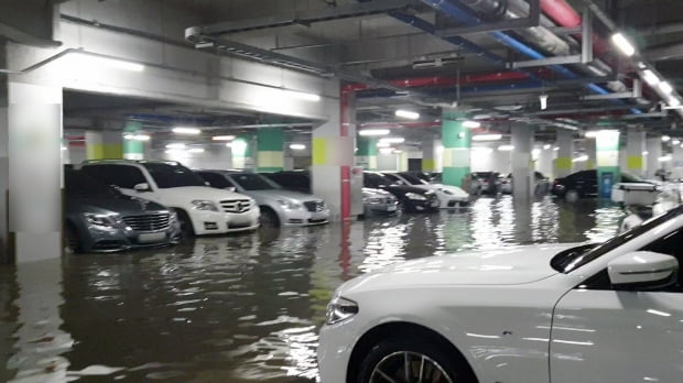 폭우가 내린 부산 지역 한 주차장에 차량 하부 높이까지 빗물이 유입됐다. 사진=연합뉴스