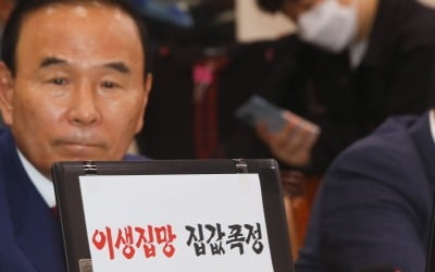 與 "다주택자 형사범으로 다뤄야"…野 "당신들은 거수긴가"