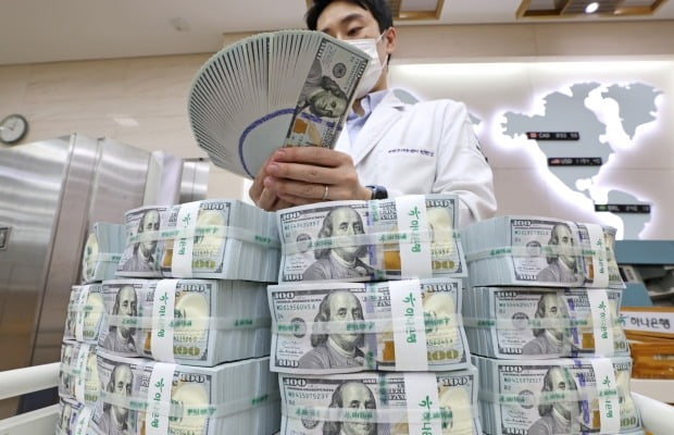 서울 중구 하나은행 본점에서 직원이 달러를 정리하고 있다. 사진=연합뉴스