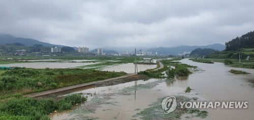 오늘 밤 강원 영동 강한비…내일 오전 대부분 지역 비 그쳐