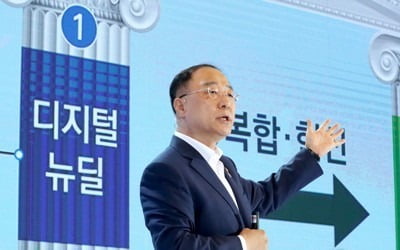 홍남기 "한국판 뉴딜, 규제혁파·제도개선 함께 추진"