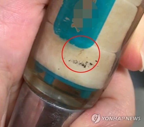 인천 수돗물 유충은 깔다구류…"유해성 없지만 마시지 말라"