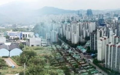 주택 공급 확대 위해 서울 강남 그린벨트 해제 카드 나오나