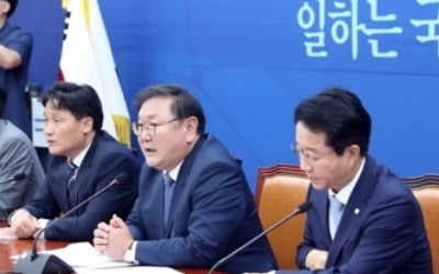 제2의 安·朴 막자…민주, 당 소속 선출직 상시감찰 추진