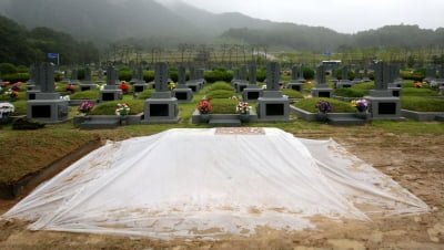 민족문제연구소, '백선엽 현충원 안장' 금지 가처분 신청