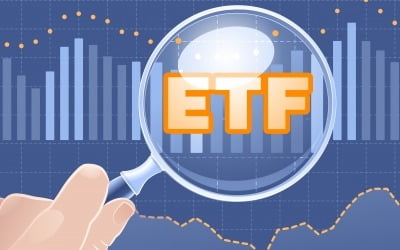 뜨거운 美 ETF 시장, 하지만 못 버티고 상장폐지한 ETF도 사상 최다