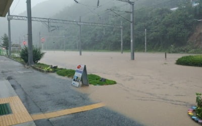 강원·충청 집중호우로 충북선·태백선 열차 전구간 운행 중단