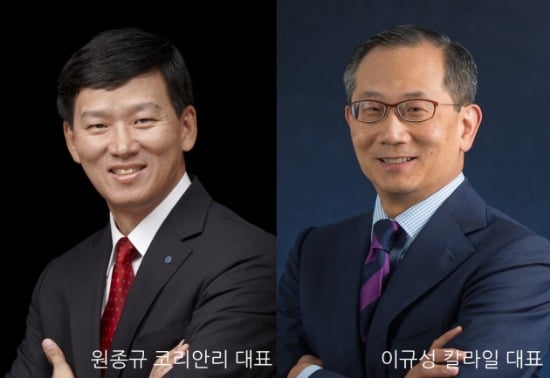60조원 규모 공동재보험 시장 열린다...코리안리·칼라일 '선점' 나서