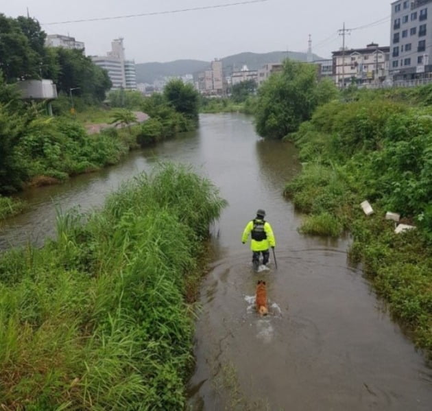 용인 토막살해 사건 피해자 시신을 수색 중인 경찰과 수색견 [사진=뉴스1]