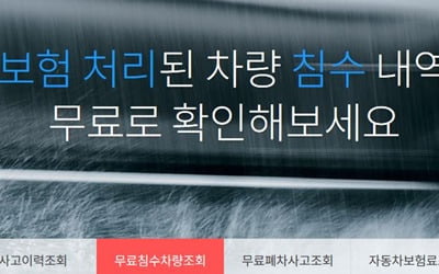 '비폭탄'에 車 침수 급증…중고車 살 때 꼭 가봐야할 사이트는?