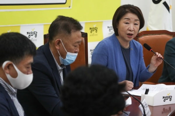 심상정 정의당 대표가 지난 3일 서울 여의도 국회에서 열린 '제주 제2공항 백지화공동행동-정의당 간담회'에서 모두발언을 하고 있다. /사진=뉴스1