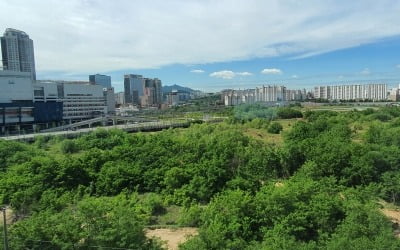 부동산 열풍, 토지로 번졌다…6월 거래량 13년만에 최대