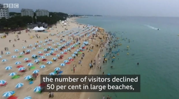 여름휴가철을 맞아 영국 BBC가 한국의 해수욕장 방역 노하우를 집중 취재해 보도했다./사진=BBC 화면 캡처