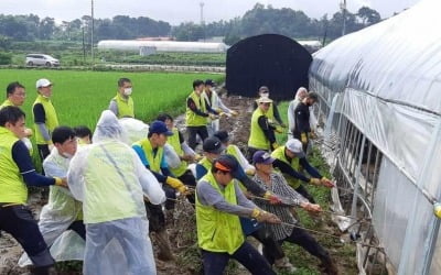 농협은행 직원 3000명, 폭우 피해 복구 나서…특별대출·만기연장도