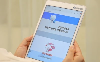 보험 선물하세요…신한생명, '벌스 스타트 트래블' 선물보험 출시