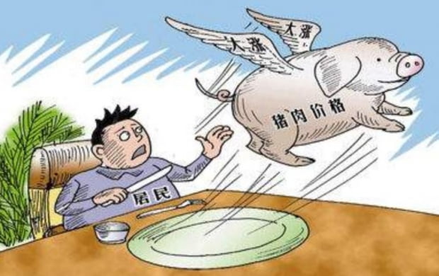 최근 중국 돼지 고기 값 급등을 꼬집은 만평. 이미지=바이두