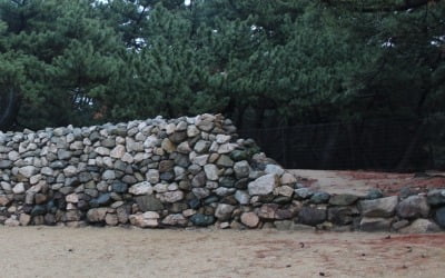 여몽연합군의 원정 배경과 고려의 패배 [윤명철의 한국, 한국인 재발견]