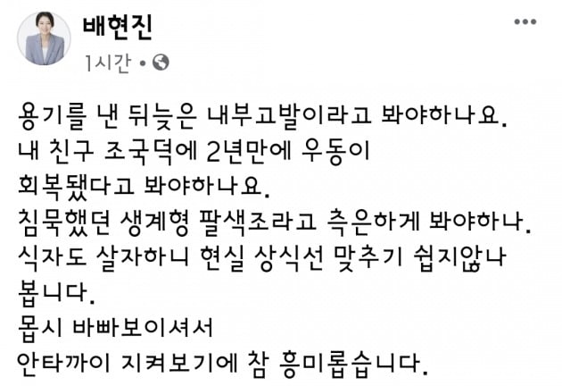 배현진 의원 페이스북 갈무리.