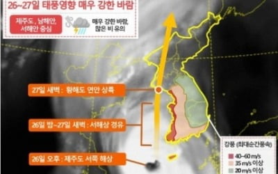 [영상] '날아갈 것 같은 비바람 친다'…태풍 바비 현위치는?