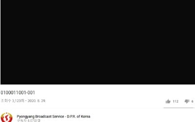 [영상] 0100011001…북한 유튜브로 간첩에 공개 지령?