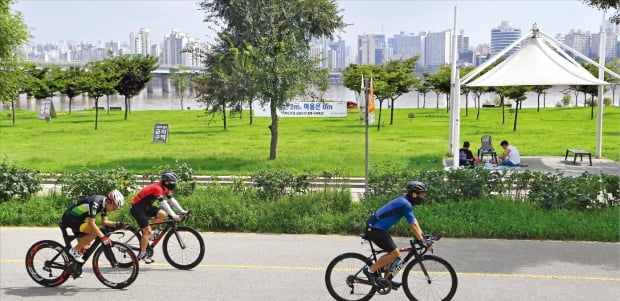 시속 30km 달리는 ‘자라니’에 교통사고 위험지역된 한강공원