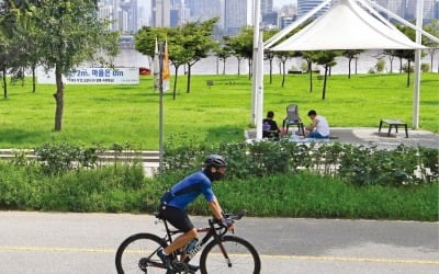 시속 30km 달리는 '자라니'에 교통사고 위험지역된 한강공원