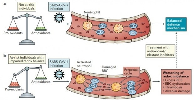 ▲사진출처: Nature Reviews Immunology Vol. 20