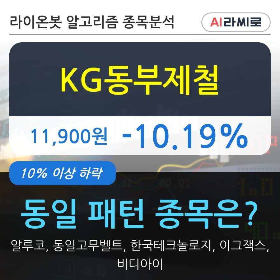 KG동부제철