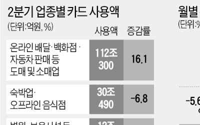 음식배달·車구매 급증…6월 카드사용 11%↑