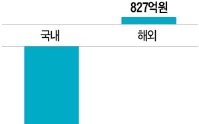 해외 주식형 펀드에도 돈 몰린다