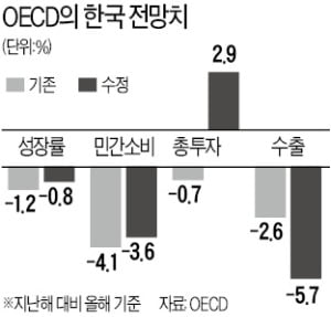 OECD "부동산에 과도한 유동성 유입 경계해야"