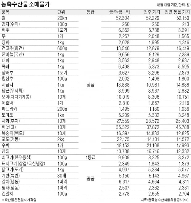 당근 도매가 1주새 8%↑…장마로 출하량 15% 급감