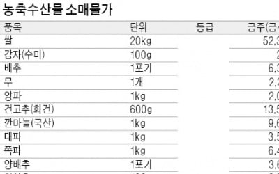 당근 도매가 1주새 8%↑…장마로 출하량 15% 급감