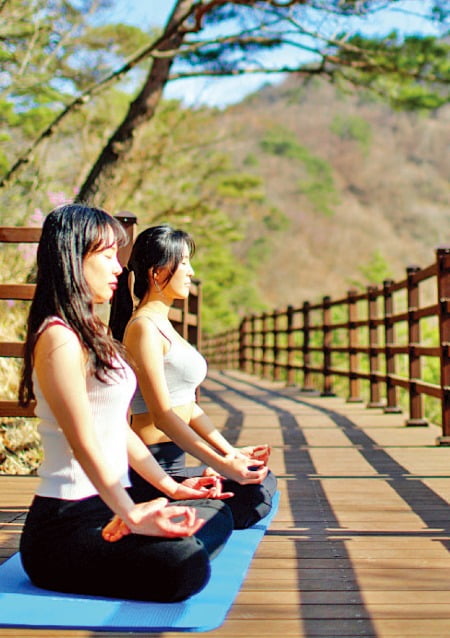 국립제천치유의숲에서 명상을 하고 있는 관광객들. 