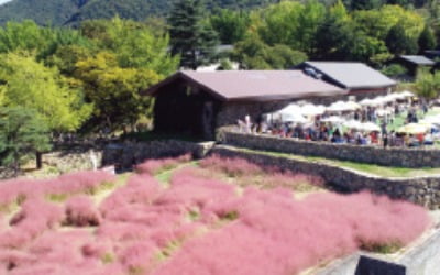 나만 알고 싶은 여행지 3선, 문화시설 갖춘 정원 가산수피아 등