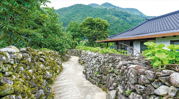  천년의 세월을 간직한 한밤마을 돌담옛길 