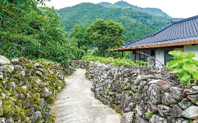 '리틀포레스트' 김태리처럼…고즈넉한 경북 군위를 거닐다